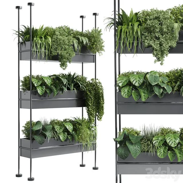 stand wall decor with shelves for the closet or showcase plants collection 179 3D Model