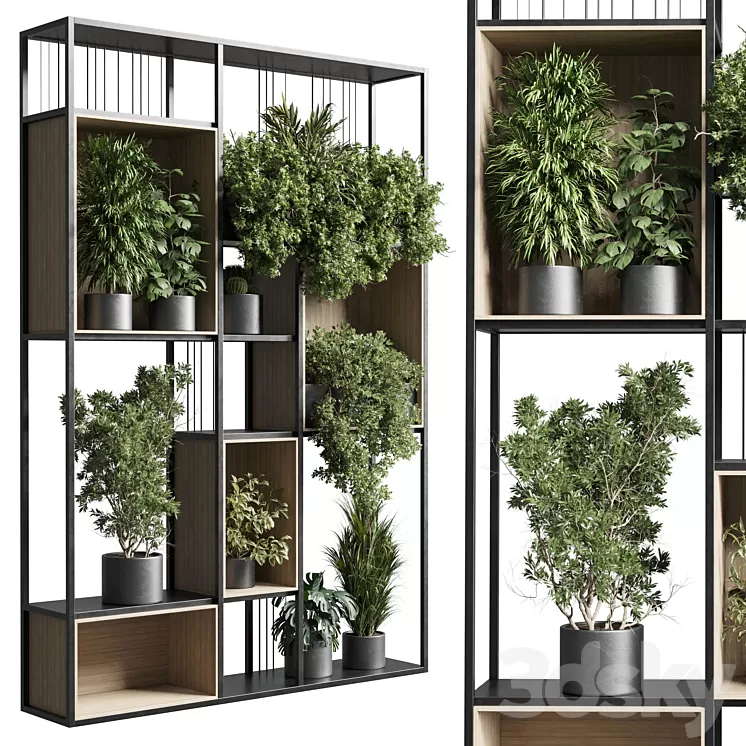 Standing metal shelf with a set 384 of plants in metal boxes corona 3D Model Free