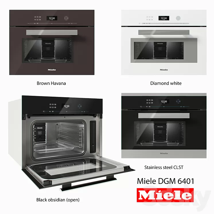 Steamer with microwave oven - Miele DGM 6401 3D Model