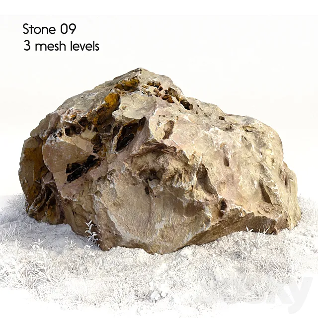 Stone 09 3DModel