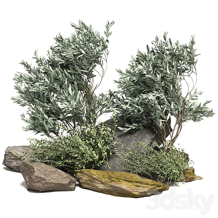 Stone + Bush Pack 7 3D Model