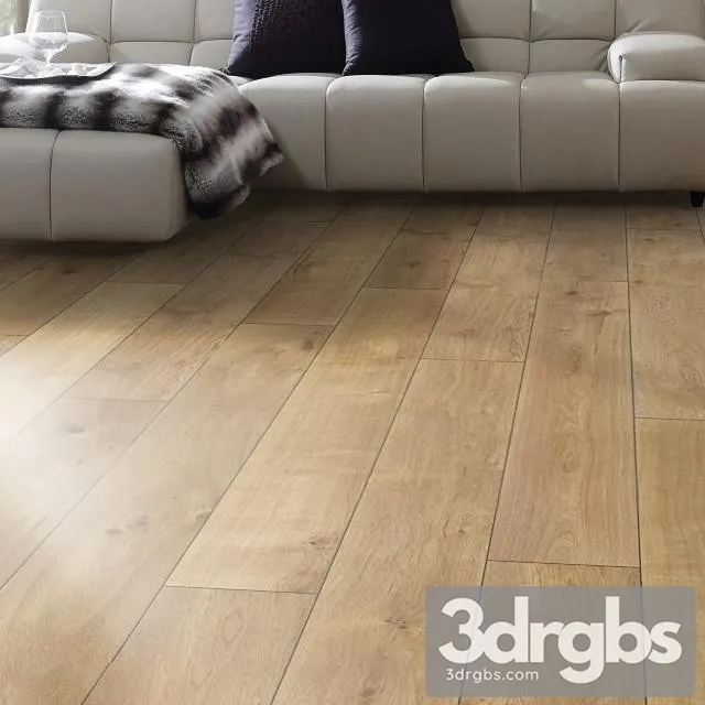 Strasbourg Oak 3D Model Free