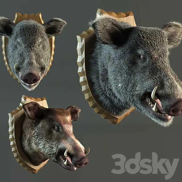 stuffed wild boar 3D Model