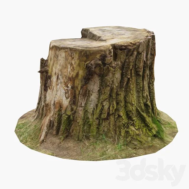 Stump 3D Model