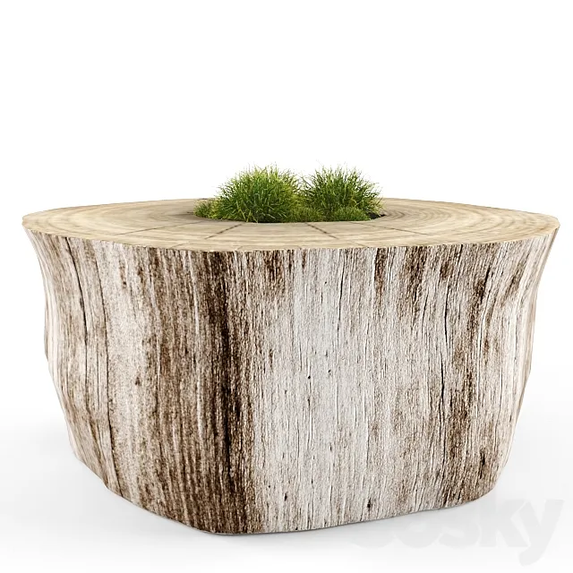 stump 3D Model