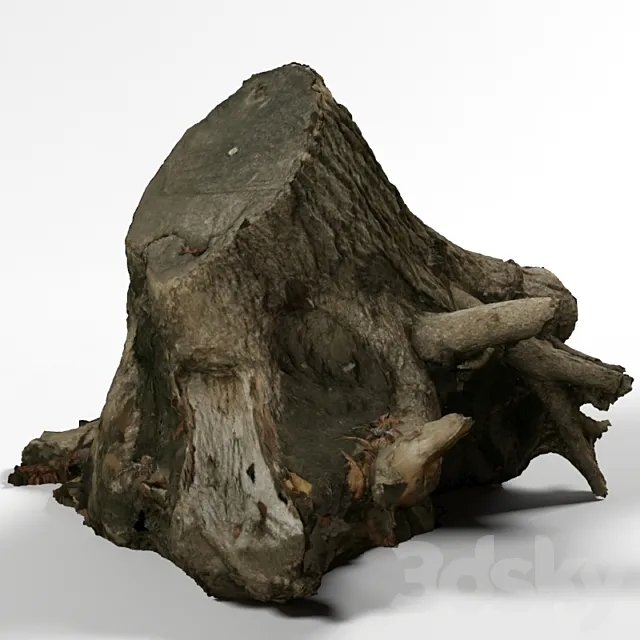 Stump 3DModel