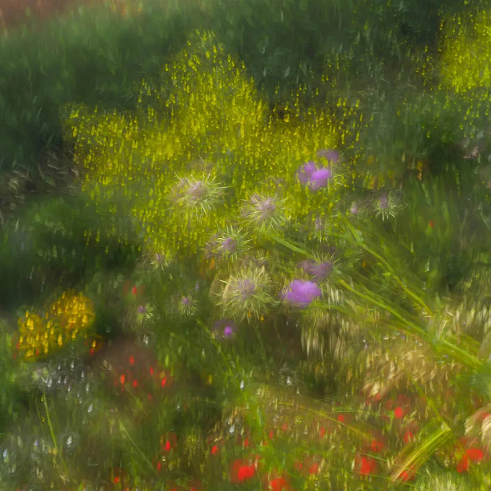 Styl’editions - Wallpaper Armonie di Forme Incerte 3D Model