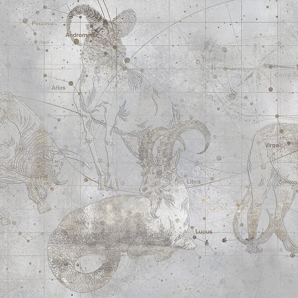 Styl’editions - Wallpaper ASTRA 3D Model