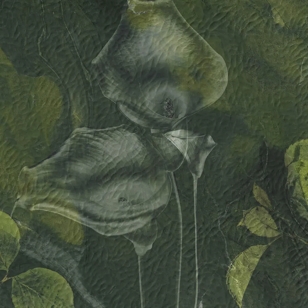 Styl’editions - Wallpaper Avocado 3D Model