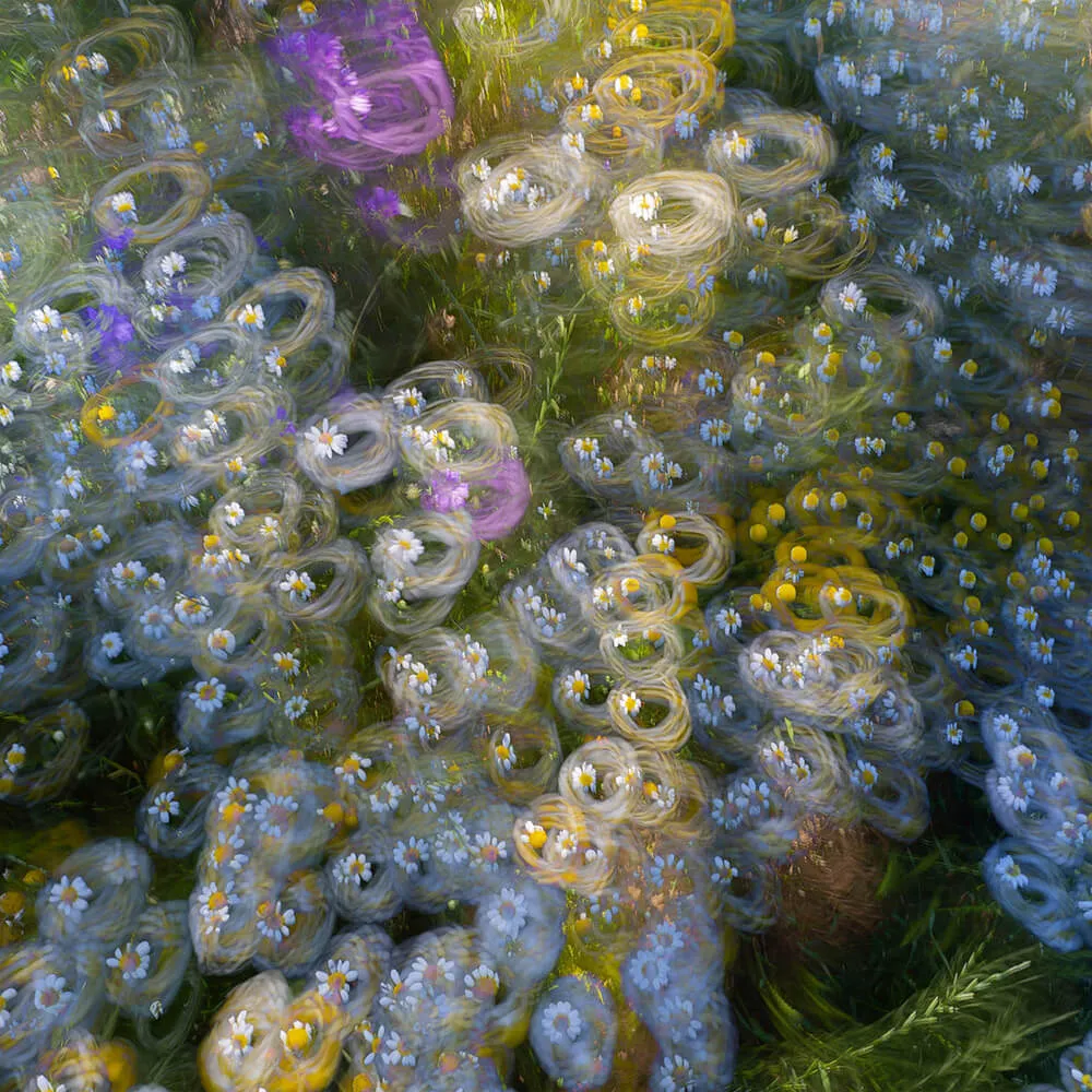 Styl’editions - Wallpaper Stelle di Terra 3D Model