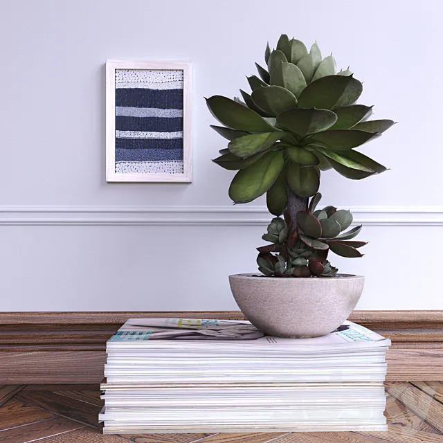 Succulent 3D Model