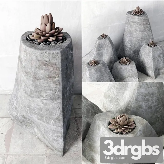 Succulent rock vase 3D Model Free