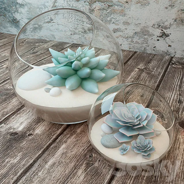 Succulents 3D Model