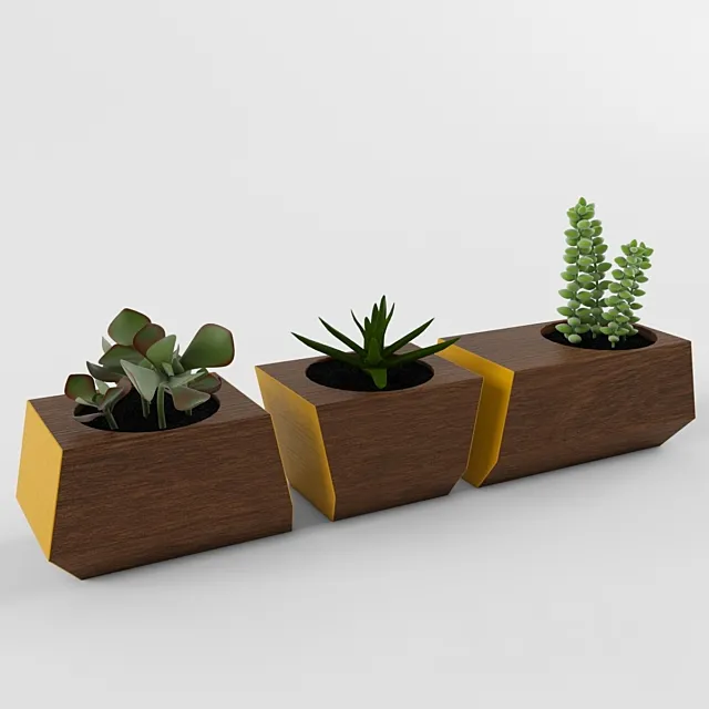 Succulents 3DModel