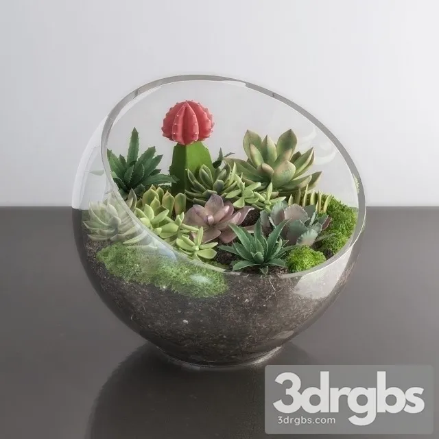 Succulents Bouquet 3D Model Free