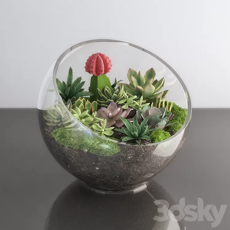 Succulents in glass bowl 3D Model