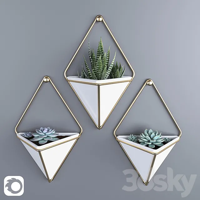 Succulents in hanging pots Umbra trigg 3DModel