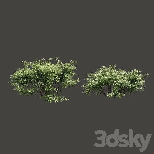 Summer bushes # 1 3DModel
