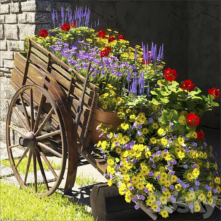 summer flower 3D Model