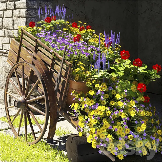 summer flower 3DModel