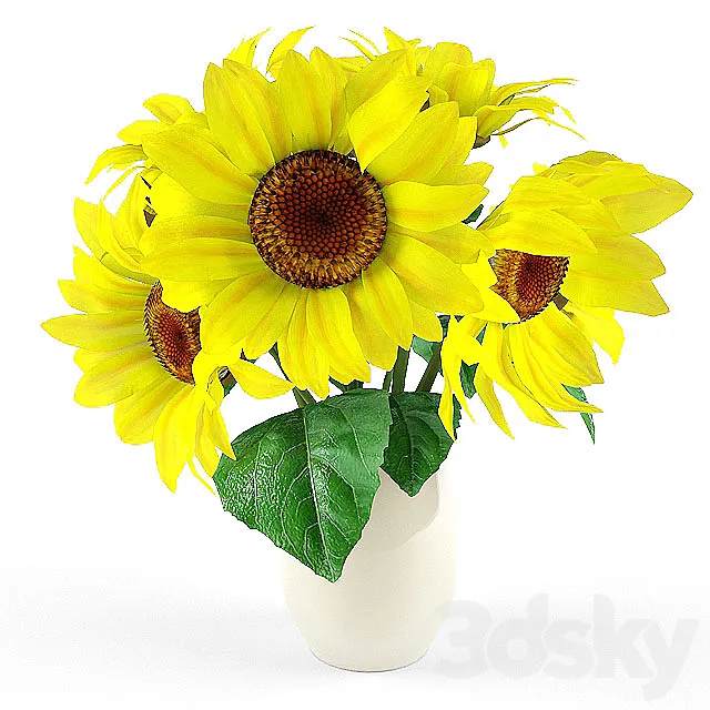 sunflower 3D Model