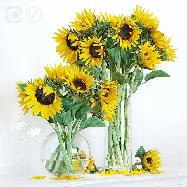 Sunflower1 Free Download