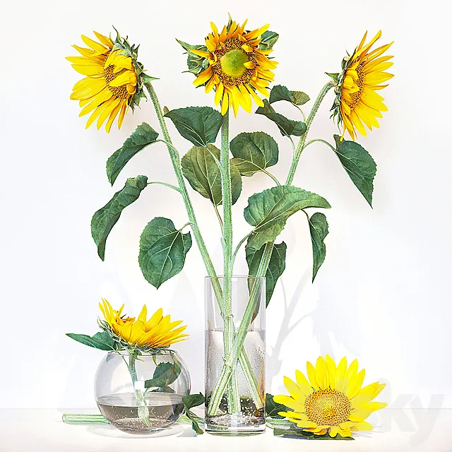 Sunflower2 3DModel