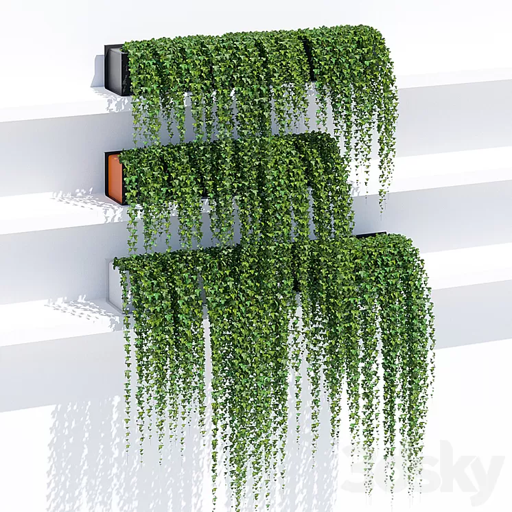 Sunset ivy 3D Model