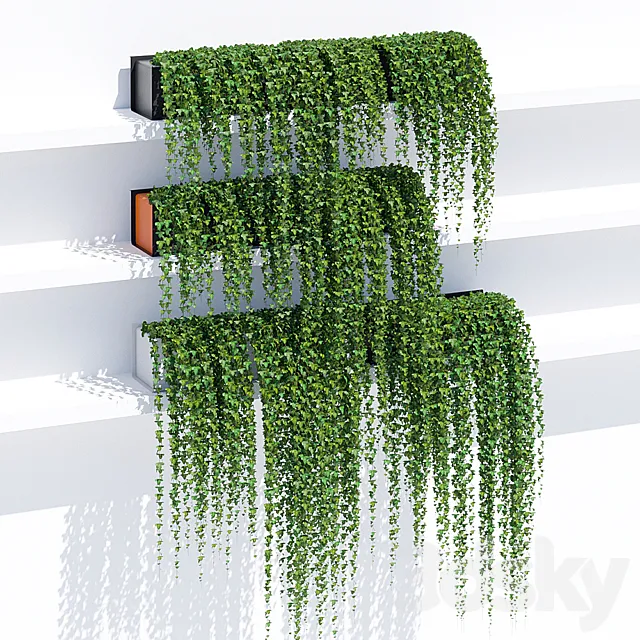 Sunset ivy 3DModel