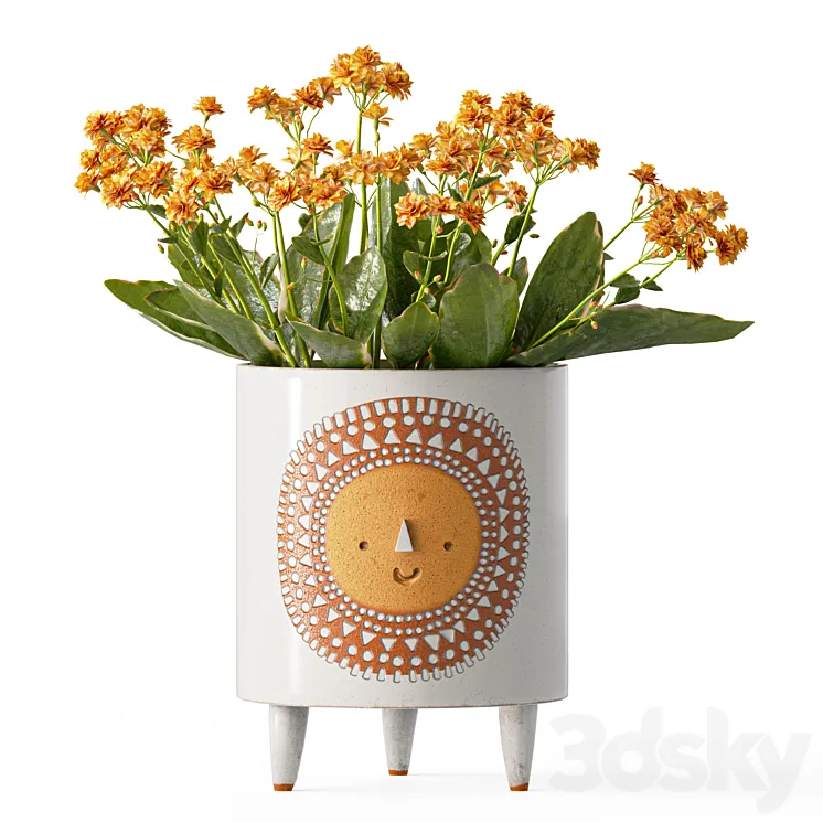 Sunshine ceramic tripod planter by Atelier Stella with Kalanchoe 3D Model Free