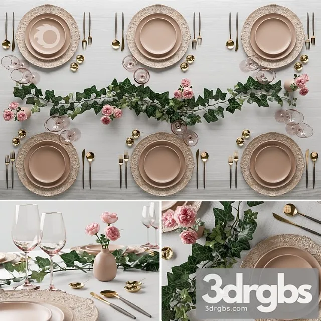 Surgeon wedding set 3D Model Free