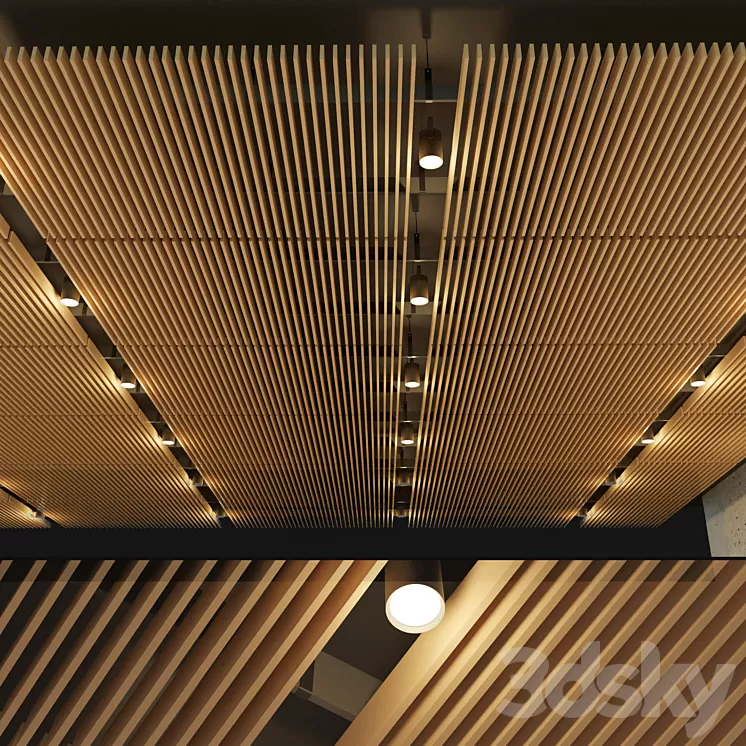 Suspended ceiling rack. 14 3D Model