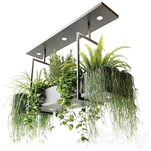 Suspended luminaire with plants OSLO 3D Model