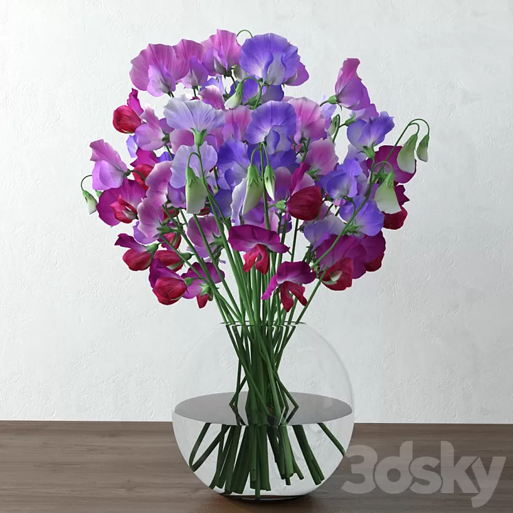 Sweet pea 3D Model