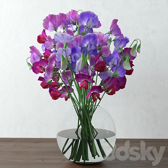 Sweet pea 3DModel