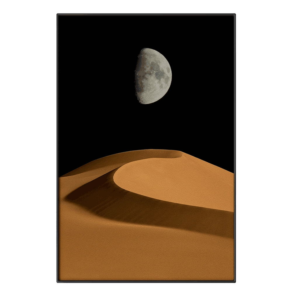 Systemtronic - Picture PTZ44 3D Model