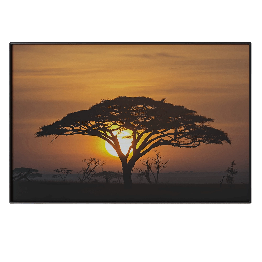 Systemtronic - Picture PTZ46 3D Model