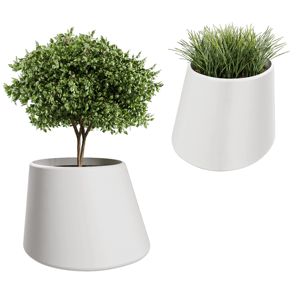Systemtronic - Plant Pot Conee 3D Model