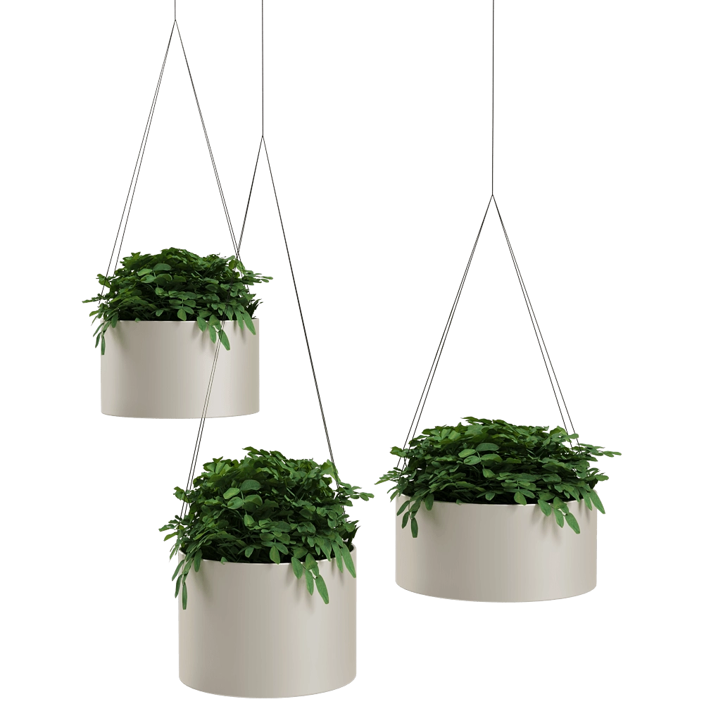 Systemtronic - Plant pots Green Cloud 3D Model