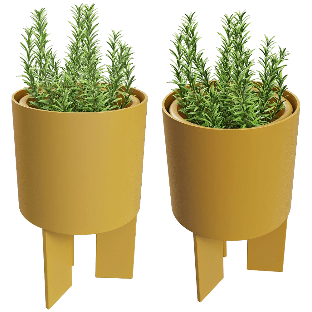 Systemtronic - Planter Croma M 3D Model