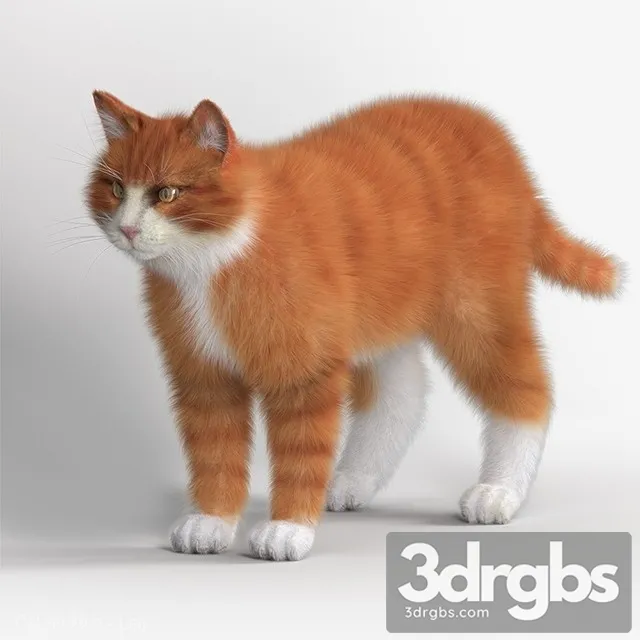 Tabby Cat 3D Model Free