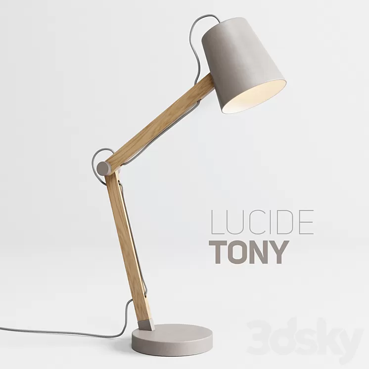 Table lamp LUCIDE TONY 3D Model