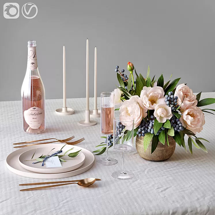 Table setting 2 3D Model