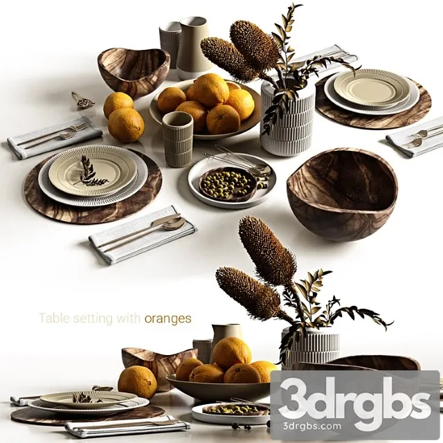Table setting with oranges 3D Model Download