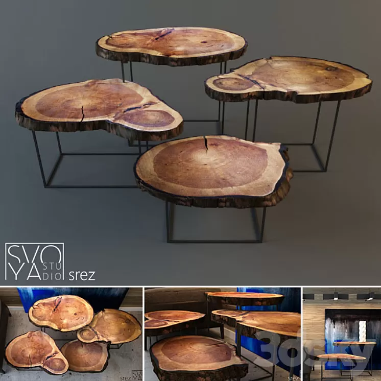 "Table ""srez""" 3D Model