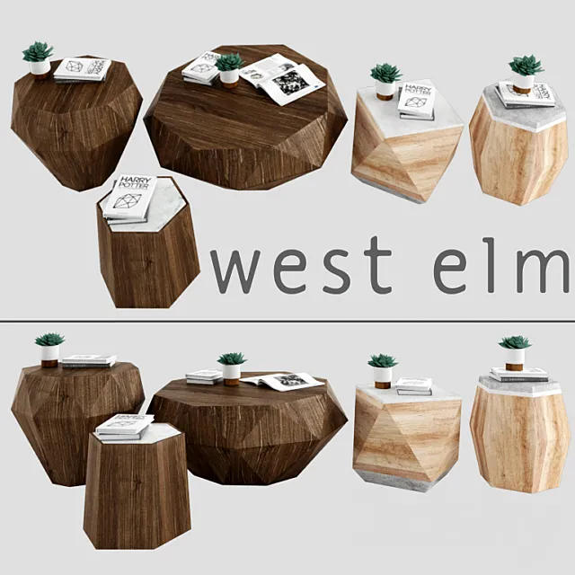 Tables West elm 4 3D Model