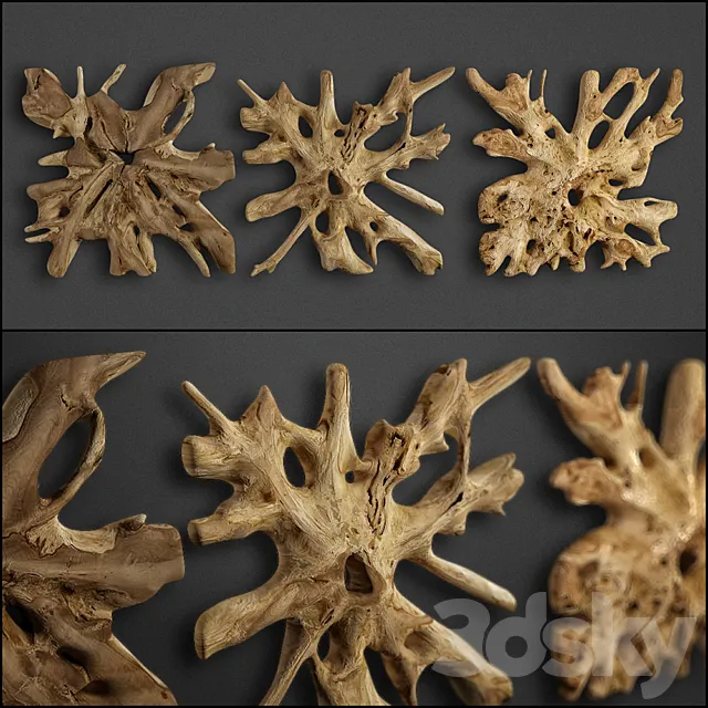 teak root Free Download