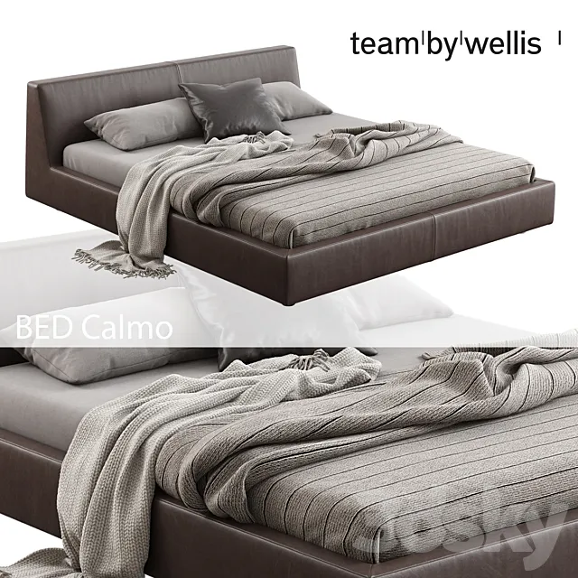 Team by Wellis _ Calmo 3DModel