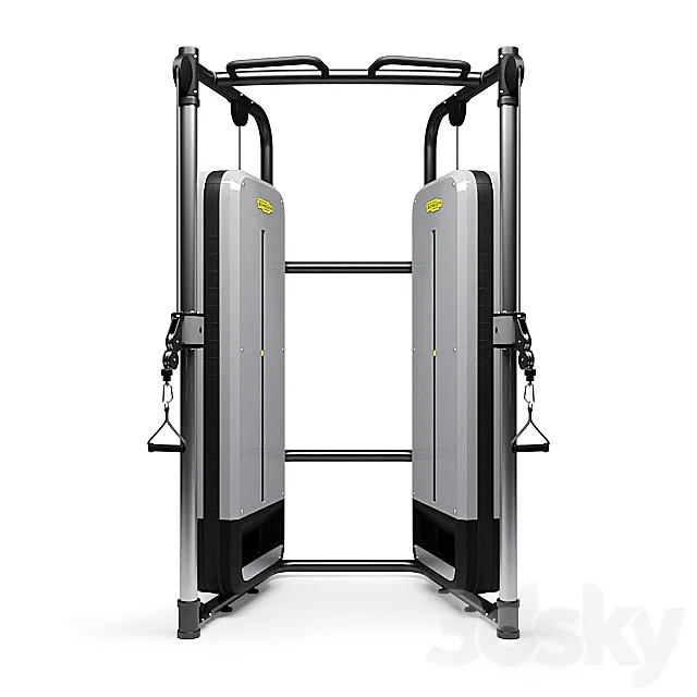 Technogym DUAL ADJUSTABLE PULLEY exercise machine - PERFORMANCE 3D Model