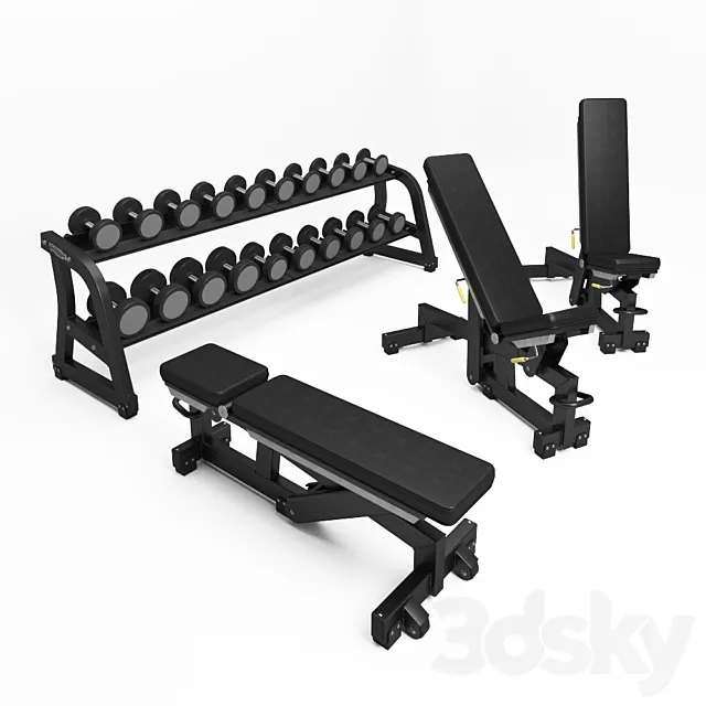 TECHNOGYM. PURE STRENGTH – ADJUSTABLE BENCH; FREE WEIGHTS – DUMBBELLS 3DModel